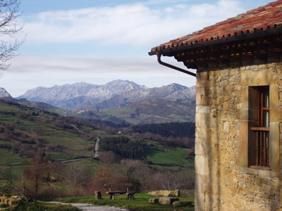 El Halcon Peregrino Turismo De Cantabria Portal Oficial De Turismo De Cantabria Cantabria Espana