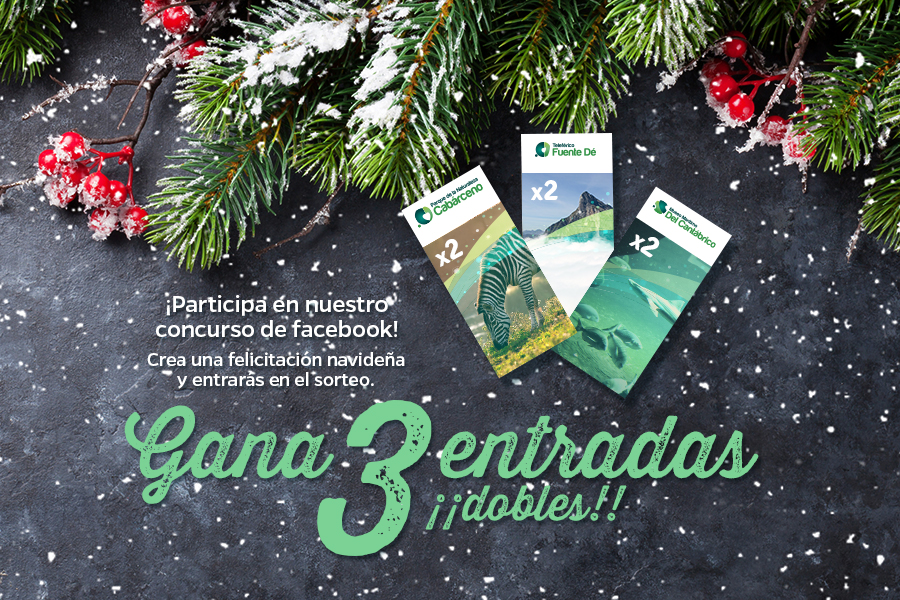 Concurso felicitación de Navidad en Cantabria