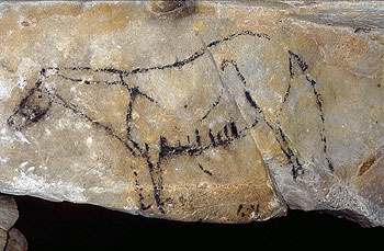 Un caballo dibujado sobre la roca, parece un dibujo a carboncillo pero sin sombras. En esa época usaban la roca para proporcionar volumen a sus obras