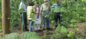 7f7b873a-a176-4de0-d8d9-730d003b3cb3