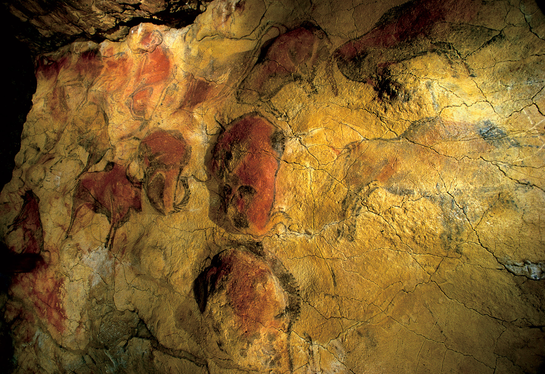 Espátula encontrada en la Cueva de La Garma
