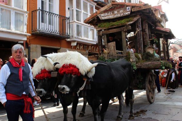 41bac3aa-478c-64d1-a5af-a82d4f2f06a2-v6j9ke-tmp