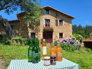 Visita una plantación de manzanos y su lagar