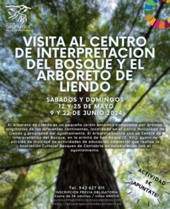 Visitas guiadas al arboreto de Liendo