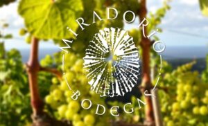 Visita los viñedos, la bodega y realiza catas en BODEGAS MIRADOIRO