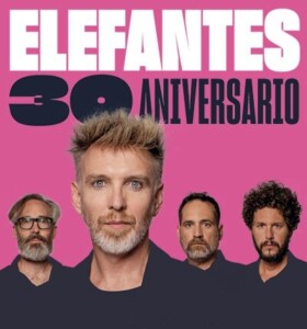 elefantes