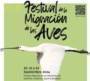 festival migración de las aves imagen