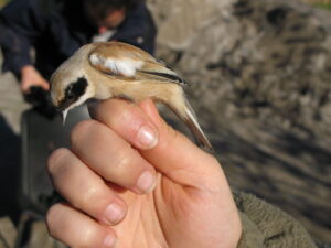 fotografia cartel (3)