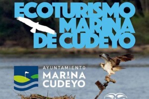 43e571b9-adb3-c57c-f9e2-a34725f37766