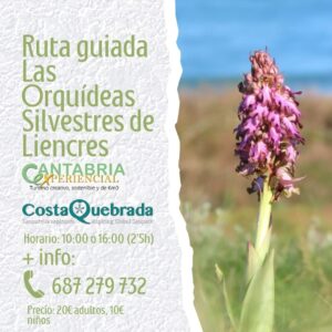 Ruta guiada en Liencres siguiendo las orquídeas