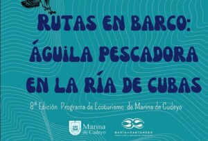 Águila pescadora en la ría de Cubas - Ruta en barco mayo y junio