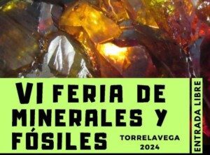 Feria de minerales y fósiles imagen