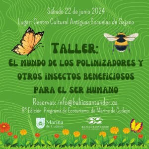 Taller de polinizadores y otros insectos