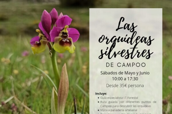 Ruta de orquideas