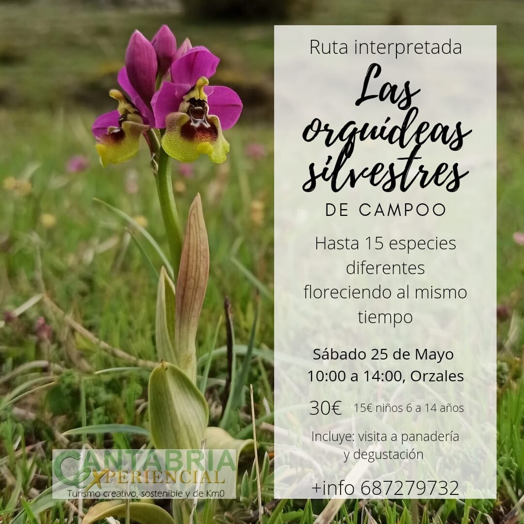 Ruta de orquideas en Campoo