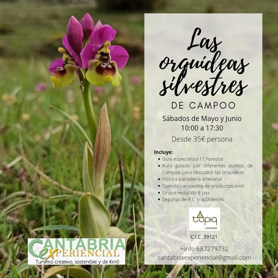 Ruta de orquideas