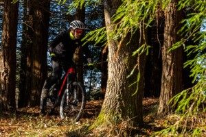 En bici a Comillas Secuoyas Cabezón