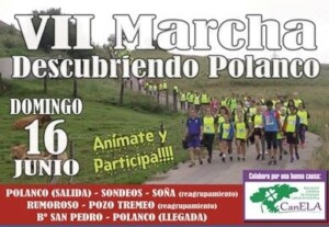 Cartel VII Marcha Polanco