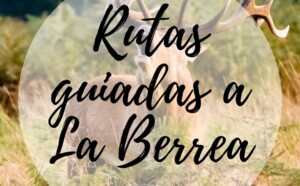 Rutas guiadas berrea