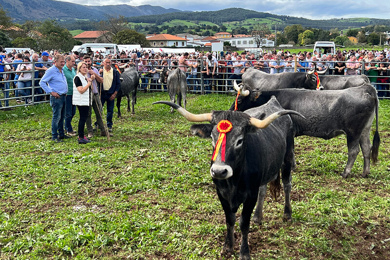 web rural olimpiada tudanco