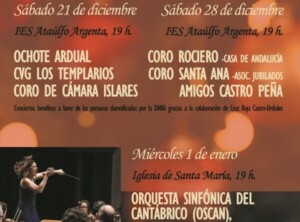 conciertos navidad castro