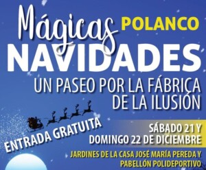 Navidades Polanco