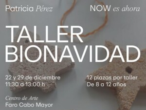 taller bionavidad