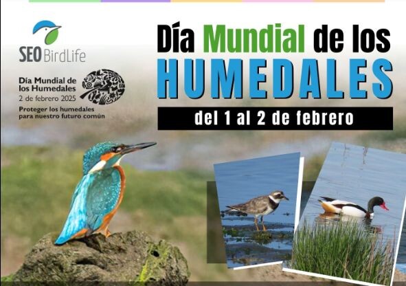 dia mundial de los humedales imagen