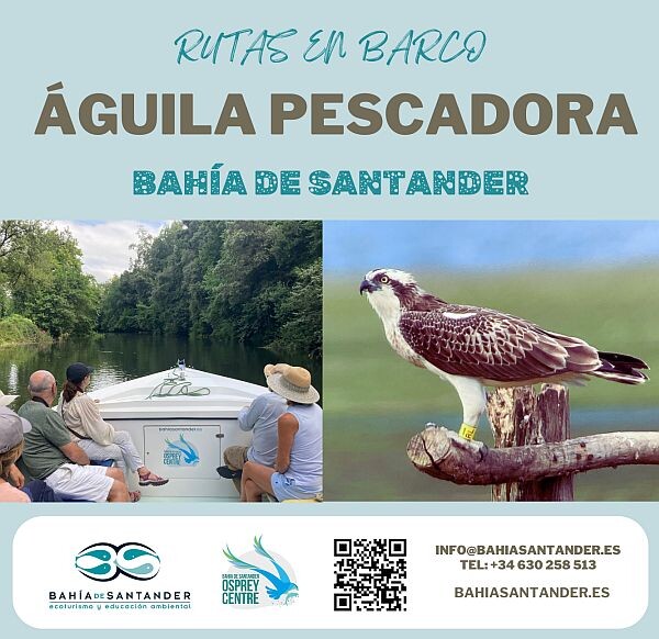 Ecoturismo por la bahía de Santander