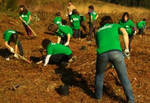 jornada de plantación en sámano