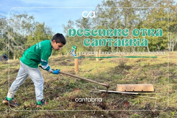 VOLUNTARIADO AMBIENTAL NOTICIA