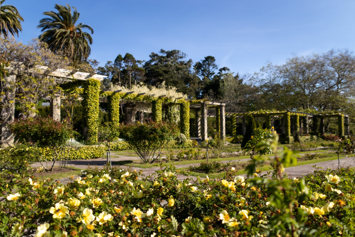 parque Mataleñas Santander primavera