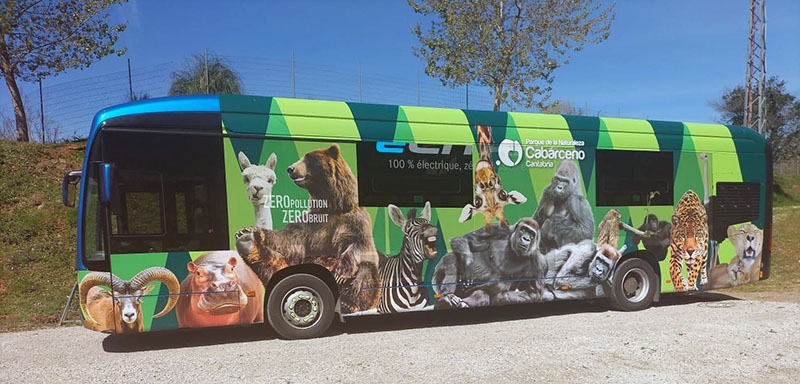 web autobus cabarceno