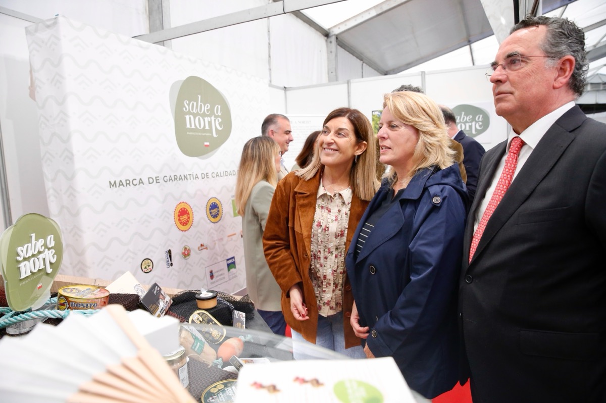 Web presidenta feria anchoa