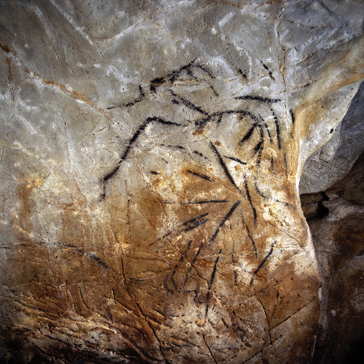 43 Cueva de las Monedas Patrimonio UNESCO 43 Cueva de las Monedas Patrimonio UNESCO