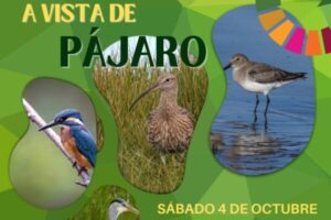 ACTIVIDADES PIE 2025 (4 oct ornitologia)