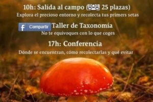 Jornada Micológica