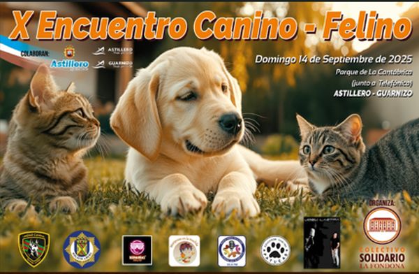 X encuentro canino felino