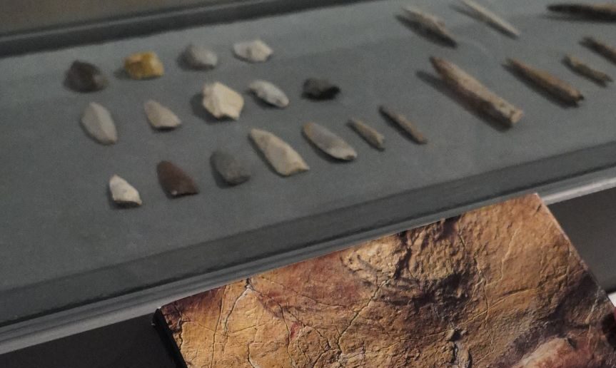 dia bibliotecas 2025 libro en vitrina (1)