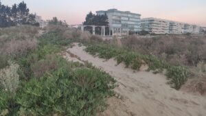 fotografia cartel (14)