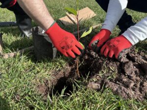 fotografia cartel (4)