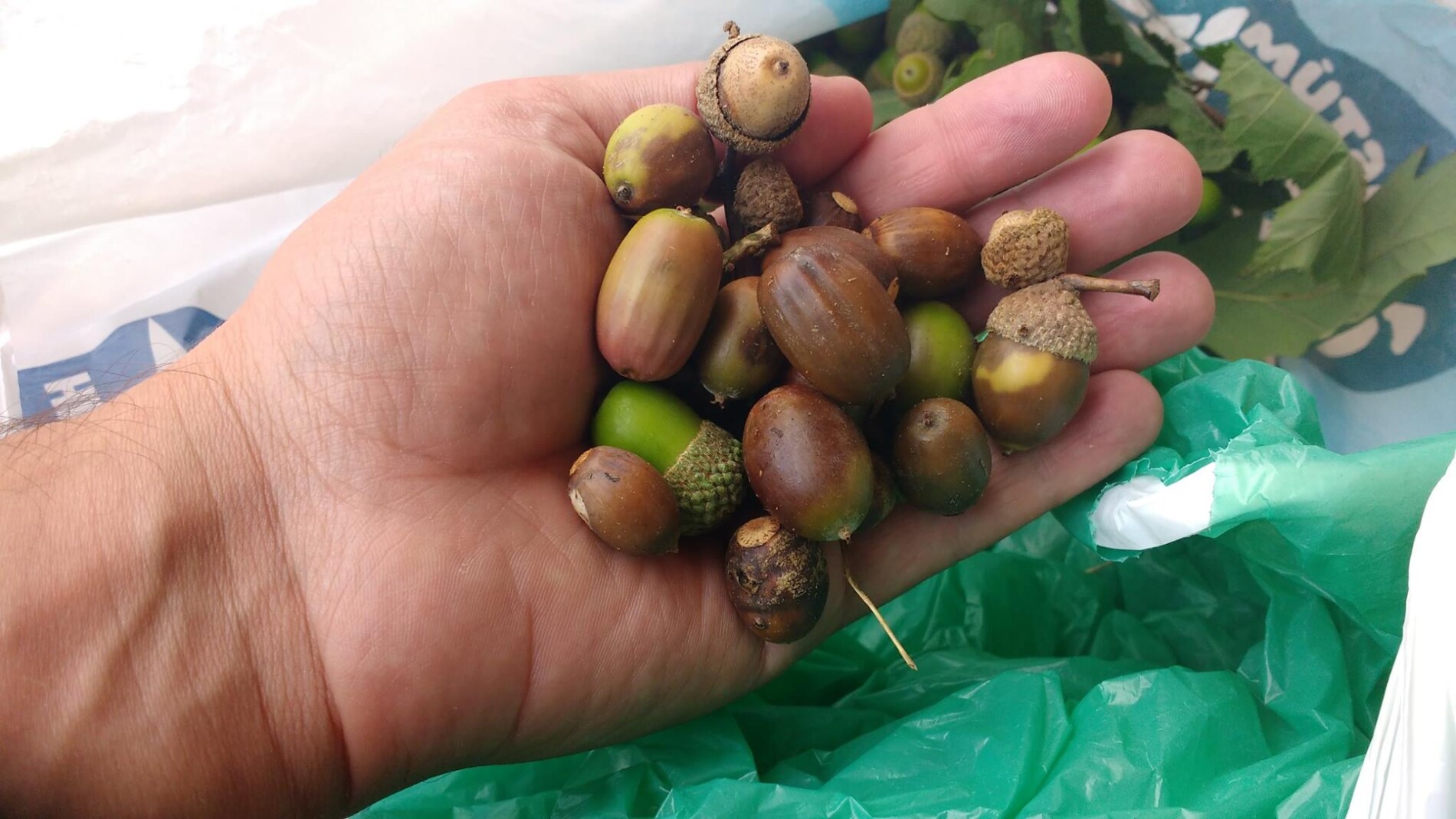 fotografia cartel (9)