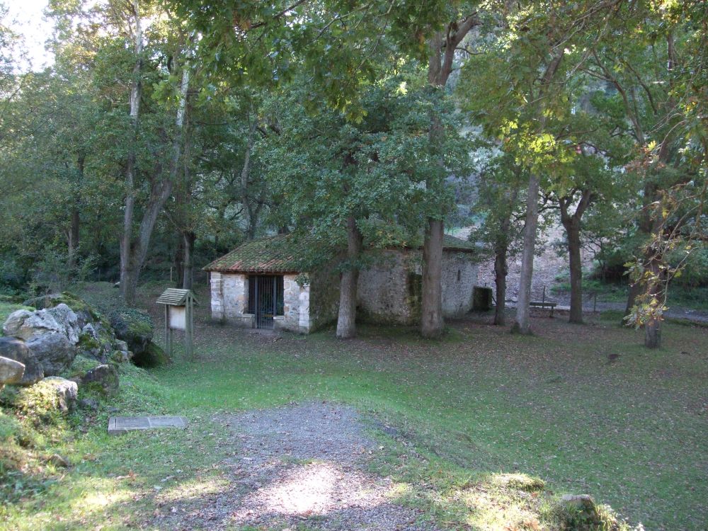 LIENDO ARBORETUM LIENDO ARBORETUM