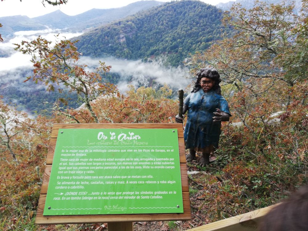 OSA DE ANDARA (4) OSA DE ANDARA (4)