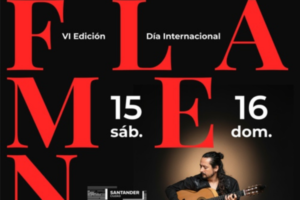 dia internacional flamenco