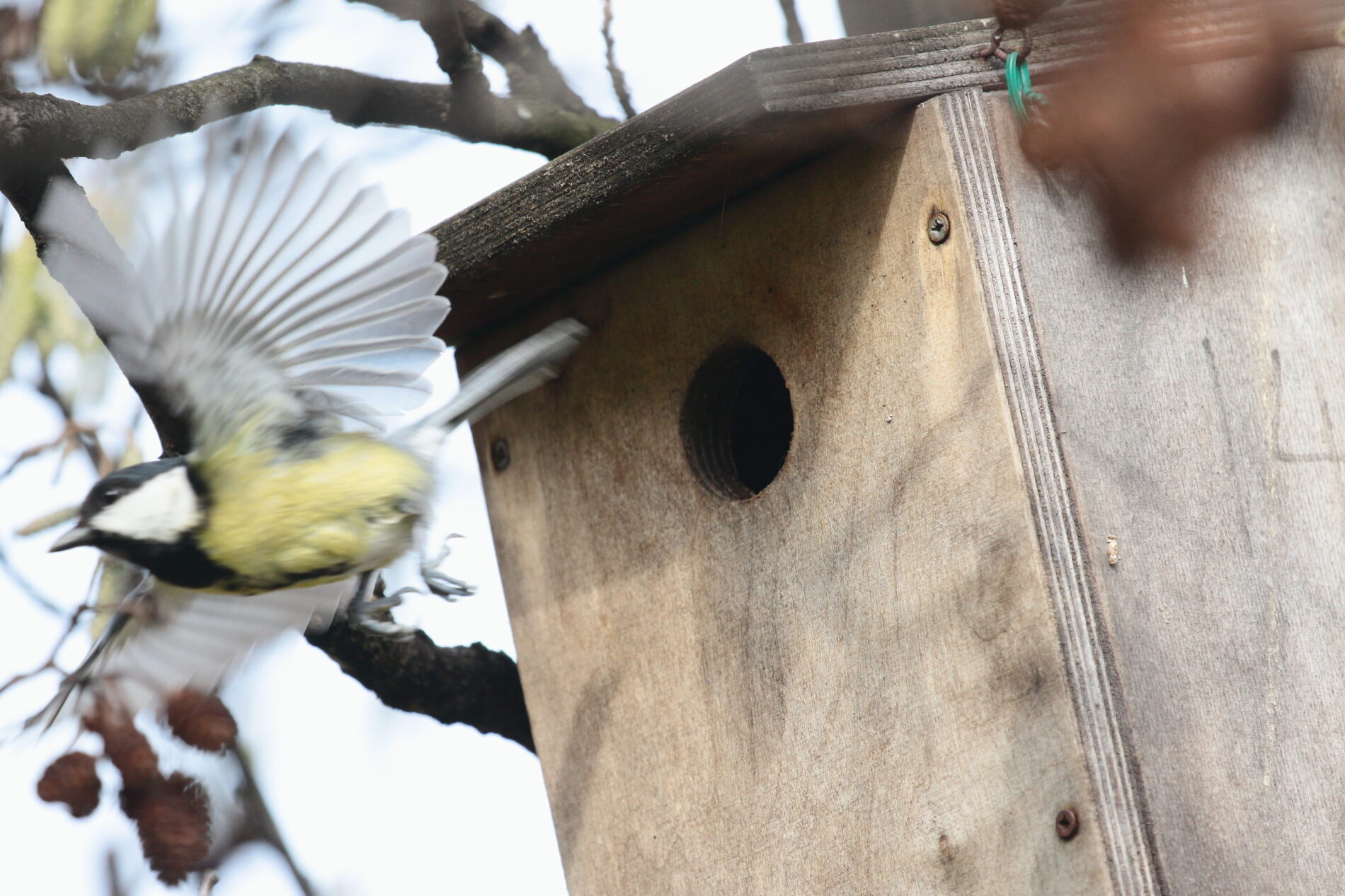 fotografia cartel (11)