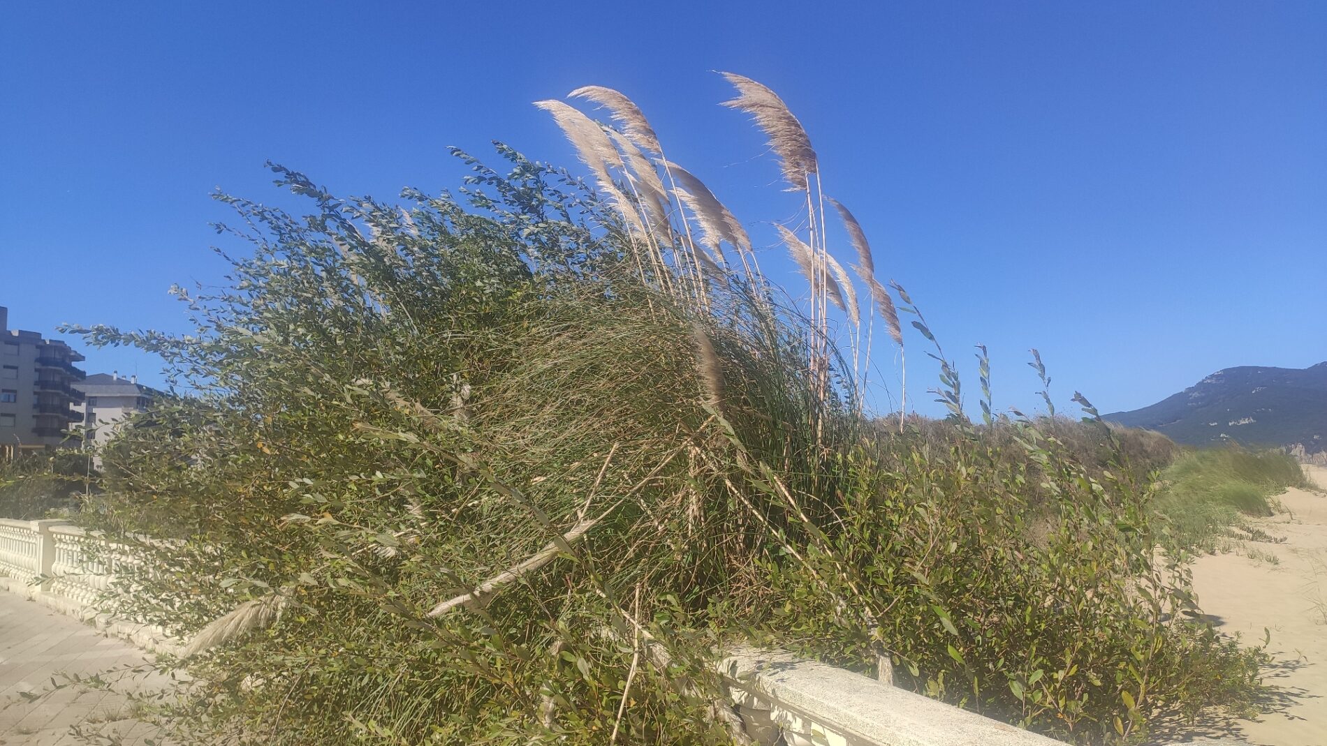 fotografia cartel (13)