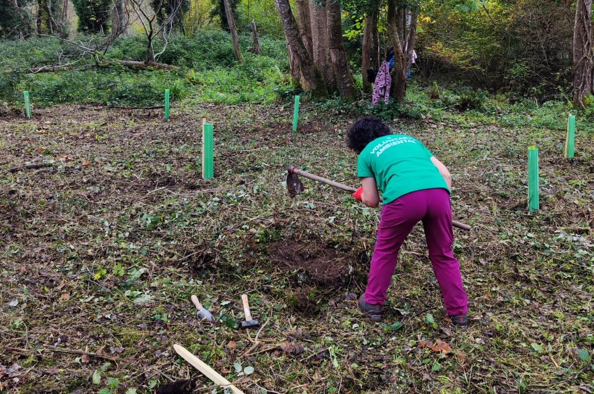 fotografia cartel (6)