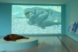 itinerarios xxx centro botin