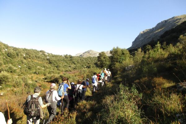 fotografia cartel (16)